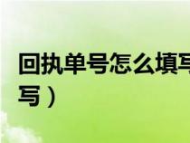 回执单号怎么填写找回密码（回执单号怎么填写）