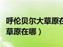 呼伦贝尔大草原在哪个省哪个市（呼伦贝尔大草原在哪）