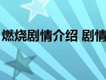 燃烧剧情介绍 剧情简介（燃烧剧情详细介绍）