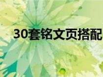 30套铭文页搭配（30个铭文页如何分配）