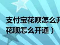 支付宝花呗怎么开通有年龄限制（自己支付宝花呗怎么开通）