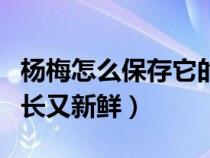 杨梅怎么保存它的新鲜度（杨梅怎样保存时间长又新鲜）