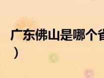 广东佛山是哪个省（广东佛山是广东哪个城市）