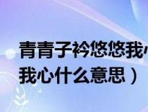 青青子衿悠悠我心什么意思?（青青子衿悠悠我心什么意思）