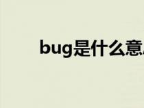 bug是什么意思（buff是什么意思）