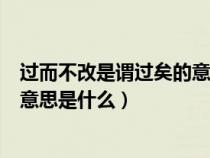 过而不改是谓过矣的意思是什么简单（过而不改是谓过矣的意思是什么）