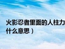 火影忍者里面的人柱力是什么意思（火影忍者里的人力柱是什么意思）