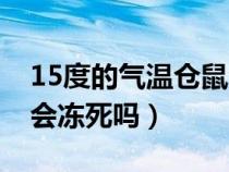 15度的气温仓鼠会冻死吗（10度的气温仓鼠会冻死吗）