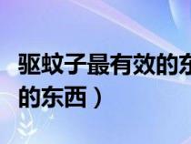 驱蚊子最有效的东西是什么呢（驱蚊子最有效的东西）