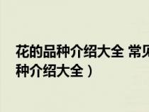 花的品种介绍大全 常见的花的种类大全-虎观百科（花的品种介绍大全）