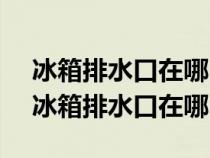 冰箱排水口在哪 如何清洗及相关故障解决（冰箱排水口在哪）