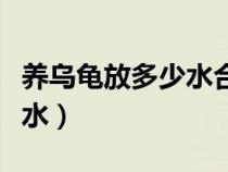 养乌龟放多少水合适图片（如何养乌龟放多少水）