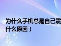 为什么手机总是自己震动（我的手机怎么老是自己震动的是什么原因）