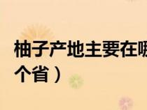 柚子产地主要在哪个省市（柚子产地主要在哪个省）