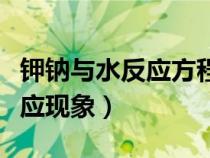 钾钠与水反应方程式（钾钠分别与氧气与水反应现象）