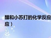 醋和小苏打的化学反应为啥气球会飞（醋和小苏打的化学反应）