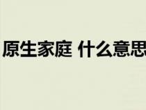 原生家庭 什么意思（什么是所谓的原生家庭）