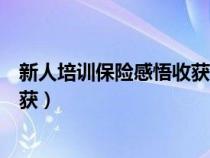 新人培训保险感悟收获第一天怎么写（新人培训保险感悟收获）