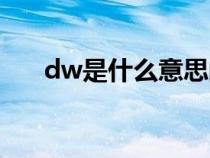 dw是什么意思的缩写（dw什么意思）