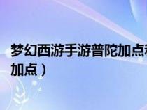 梦幻西游手游普陀加点和宝石搭配2022（梦幻西游手游普陀加点）