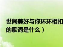 世间美好与你环环相扣是哪一首歌（世间美好与你环环相扣的歌词是什么）