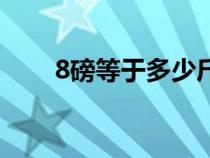 8磅等于多少斤呀（8磅等于多少斤）