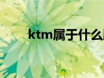 ktm属于什么牌子（Ktm是什么车）