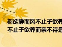 树欲静而风不止子欲养而亲不待是什么意思?（树欲静而风不止子欲养而亲不待是什么意思）