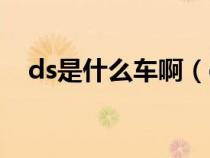 ds是什么车啊（ds是什么车中文叫什么）