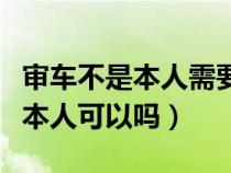 审车不是本人需要带什么资料（审车不是车主本人可以吗）