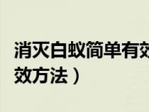 消灭白蚁简单有效方法视频（消灭白蚁简单有效方法）