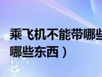 乘飞机不能带哪些东西充电宝（乘飞机不能带哪些东西）