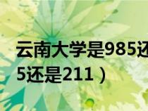 云南大学是985还是211排名（云南大学是985还是211）