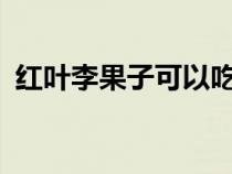 红叶李果子可以吃吗?（红叶李果子能吃吗）