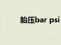 胎压bar psi（胎压bar什么意思）