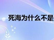 死海为什么不是海（死海是海吗为什么）