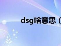 dsg啥意思（汽车DSG什么含义）