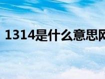 1314是什么意思网络语（1314是什么意思）