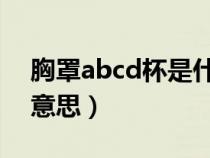 胸罩abcd杯是什么意思（乳罩abc杯是什么意思）