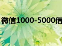 微信1000-5000借钱（微信支付分能借钱吗）