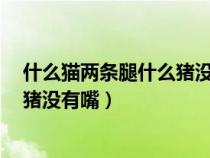 什么猫两条腿什么猪没有嘴灬猜6个字（什么猫两条腿什么猪没有嘴）