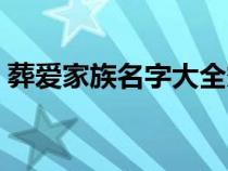 葬爱家族名字大全霸气（家族名字大全霸气）