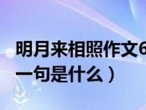 明月来相照作文600字（明月何时照我还的前一句是什么）