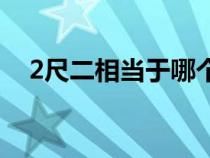 2尺二相当于哪个码（2尺2是28还是29）