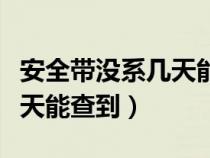 安全带没系几天能查到违章吗（安全带没系几天能查到）