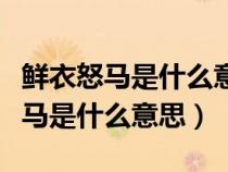 鲜衣怒马是什么意思落井下石的动物（鲜衣怒马是什么意思）