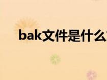 bak文件是什么文件（bak是什么文件）