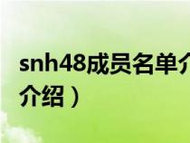 snh48成员名单介绍爱奇娜（snh48成员名单介绍）