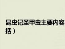 昆虫记圣甲虫主要内容概括30字（昆虫记圣甲虫主要内容概括）