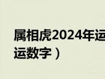 属相虎2024年运势及运程详解（生肖虎的幸运数字）